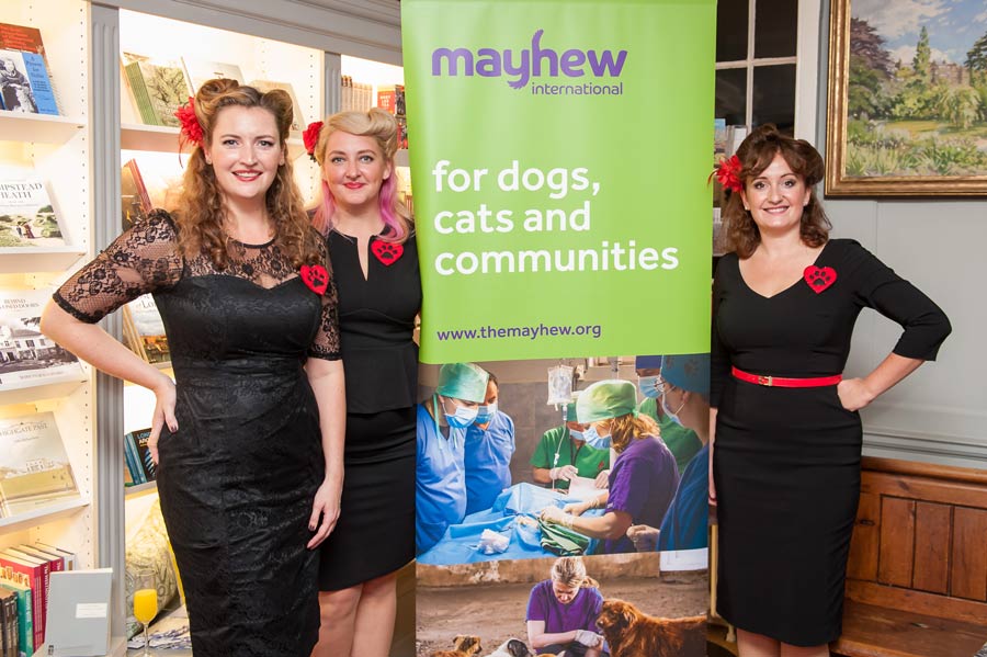 Fundraise for Mayhew Georgia