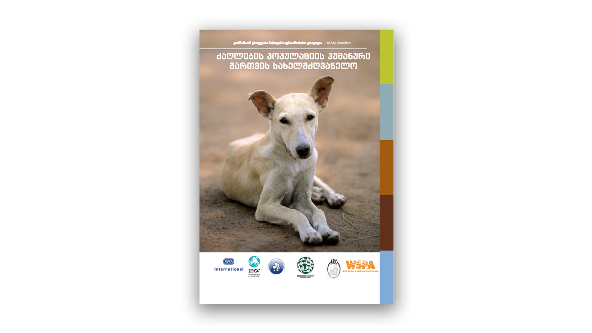 ICAM Humane Dog Population Management (GE)