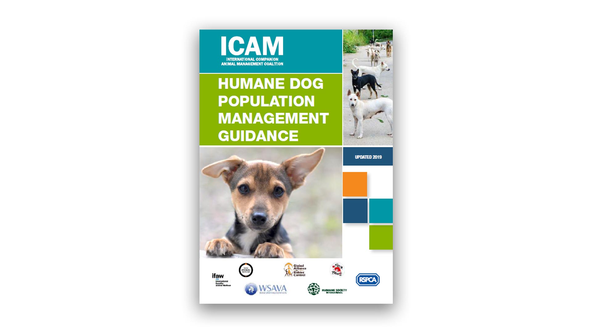ICAM Humane Dog Population Management (EN)