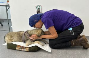 Woman kneeling over dog, kissing it's head