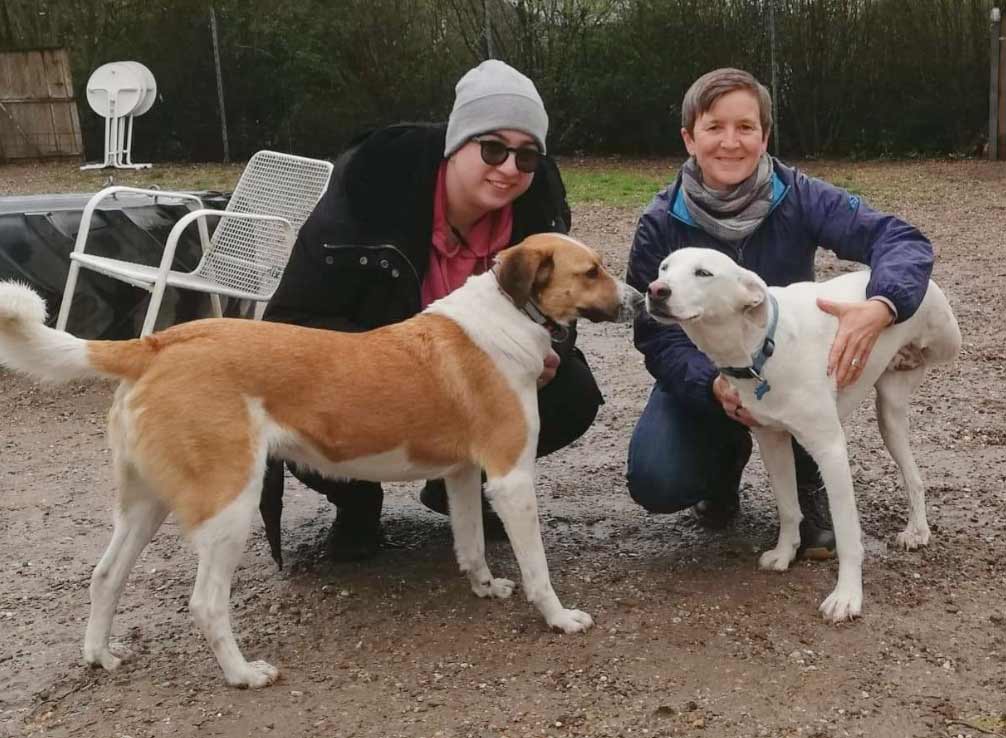 arwen and ana with her new owner in the US